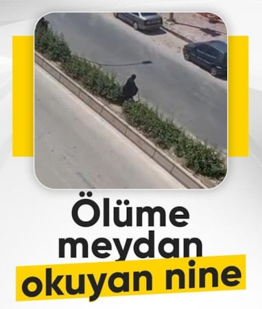 Bilecik'te bastonuyla refüje tırmandı, trafiğin ortasında mahsur kaldı