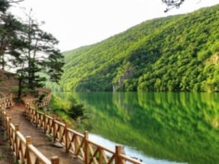 Valilik duyurdu: Amasya'da ormanlık alanlara girişlere yasak