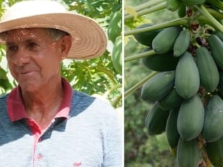 Pahalı diye almıyordu ama üretmeye karar verdi: 67 yaşında hayatı değişti