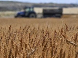Tarımda tarihi rekor: Türkiye, tarımsal hasılada 83 milyar doları aştı