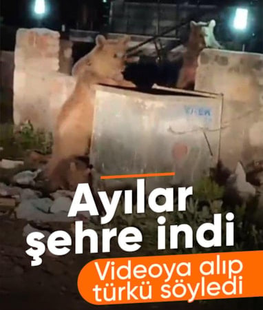 Kars'ta bir vatandaşın ayılara türkü söylediği anlar sosyal medyada viral oldu