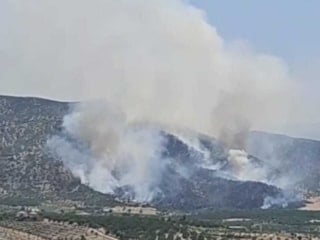 Malatya'da orman yangını çıktı