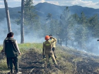 Kastamonu'da orman yangını