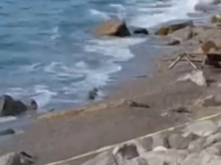 Zonguldak'ta Filyos Sahili'ne İHA vurdu