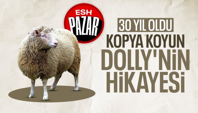 Kopya koyun Dolly: Klonlamanın dönüm noktası