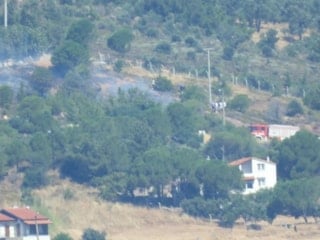 Cunda Adası'nda yangın: 1 dönüm orman yandı