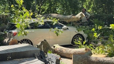 Küçükçekmece'de devrilen ağaç, park halindeki otomobile zarar verdi