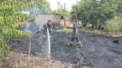 Eskişehir'de bahçe yangını: Düşen sigara otları tutuşturdu