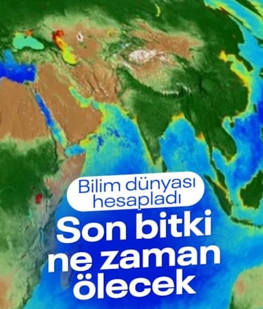 Bilim insanları Dünya'daki son bitkilerin ne zaman öleceğini hesapladı