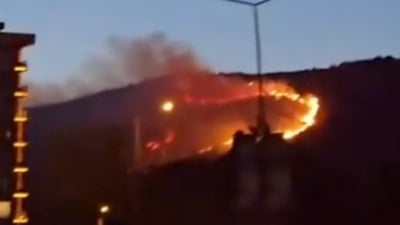 İzmir'de çıkan orman yangınına müdahale ediliyor