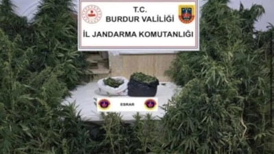 Burdur'da kenevirleri sulayan şüpheli suçüstü yakalandı