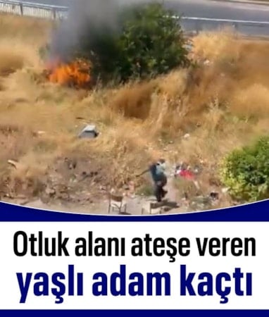 İstanbul Avcılar'da yaşlı adam otluk alanı yakıp kaçtı