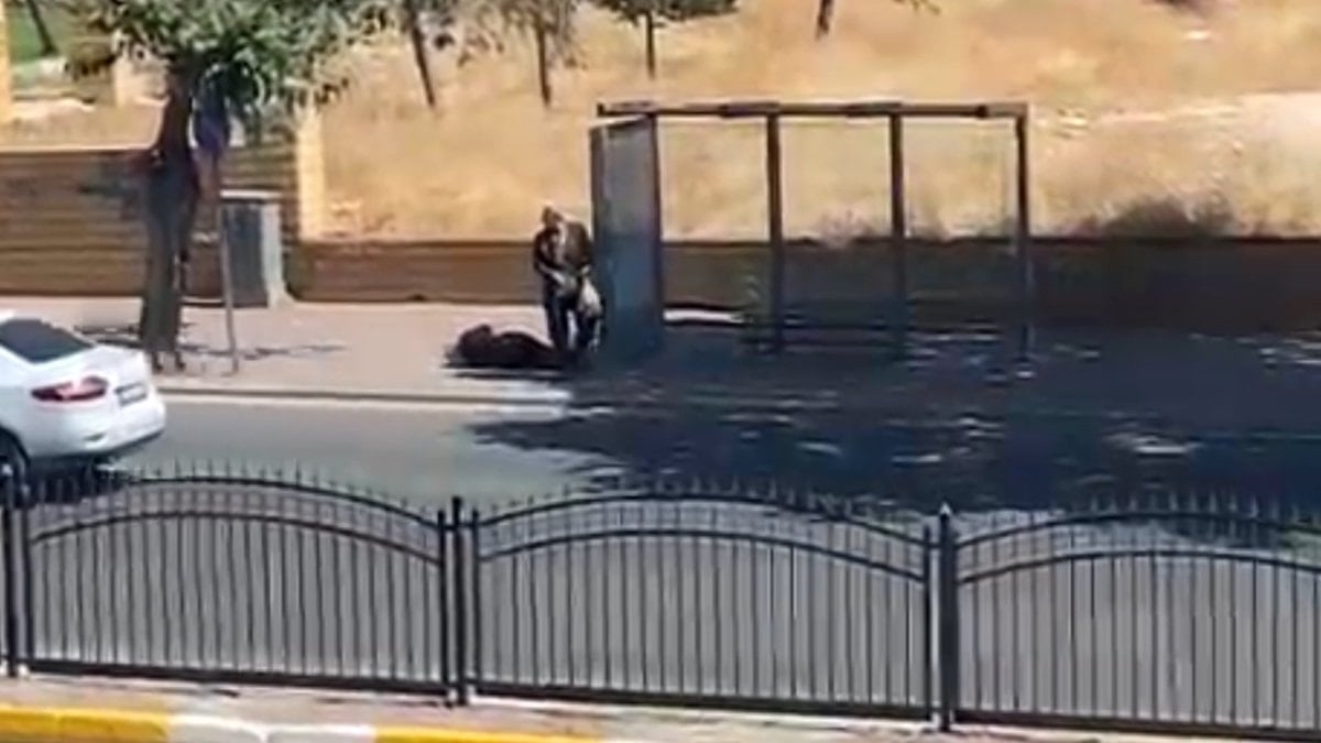 Şanlıurfa'da eşini tabancayla vurdu