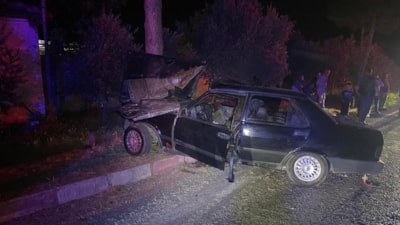 İzmir'de köpeğe çarpmamak için manevra yapan sürücü kaza yaptı