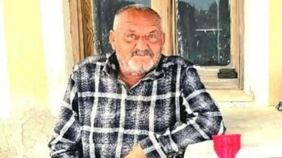 İzmir'de balkonda uyuyan kişiye saldırıp öldüren ayı vuruldu