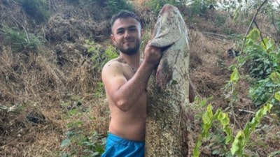 Sakarya Nehri'nde 40 kiloluk dev yayın balığı yakalandı