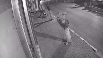 İzmir'de genç kıza sokakta dehşeti yaşatan saldırgan tahliye edildi