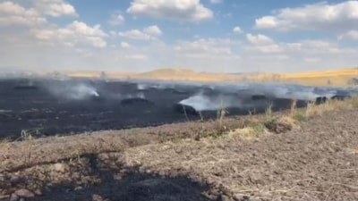 Yozgat'ta örtü yangını: Yaklaşık 150 dönüm alan zarar gördü