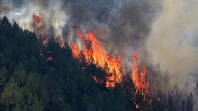 İspanya'da orman yangını felaketi: 12 kişi yaşamını yitirdi