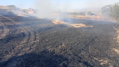 Balıkesir'de arazi yangını ekipleri harekete geçirdi