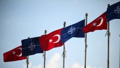 Yılmaz Özdil'in alkol sorusu cevap buldu