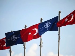 Yılmaz Özdil'in alkol sorusu cevap buldu