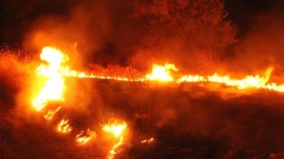 Şanlıurfa'da anız yakan kişilere 21,2 milyon TL ceza