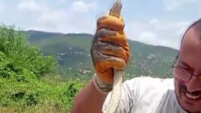 Amasya'da eve giren yılanı yakalayıp, boynuna sardı