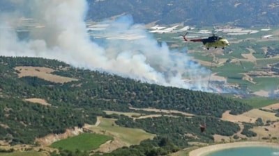 Manisa'da orman yangını