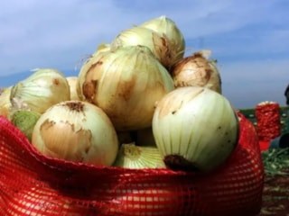 kuru soğanda uygulanan gümrük vergisi yüzde 5 oldu