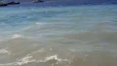 Bodrum'da deniz kirliliğine soruşturma