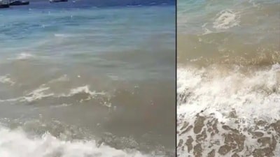 Bodrum'da denizin kirletilmesi hakkında soruşturma başlatıldı