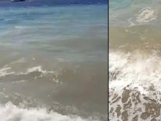 Bodrum'da denizin kirletilmesi hakkında soruşturma başlatıldı