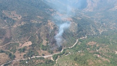Adana'da orman yangını