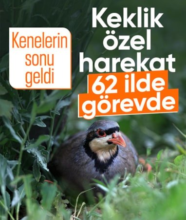 Zararlı böceklere karşı 62 ilde 51 bin kanatlı hayvan doğaya salınacak