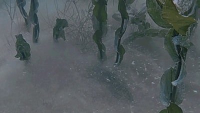 Sapanca Gölü'nün dibinde gizemli pamuksu oluşum