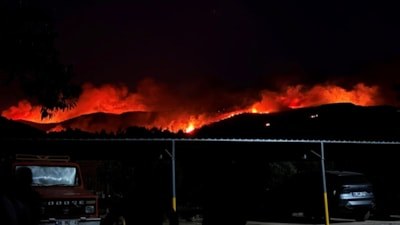 Muğla Milas'ta orman yangınına müdahale sürüyor