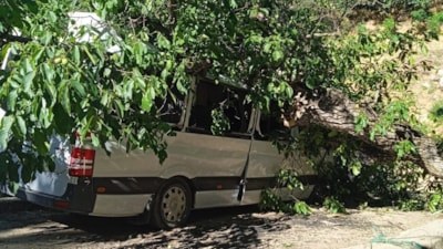 Hakkari'de devrilen ceviz ağacı, park halindeki minibüse zarar verdi