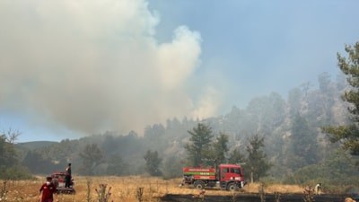 Bursa'da tarım arazisinde başlayan yangın, ormana sıçradı