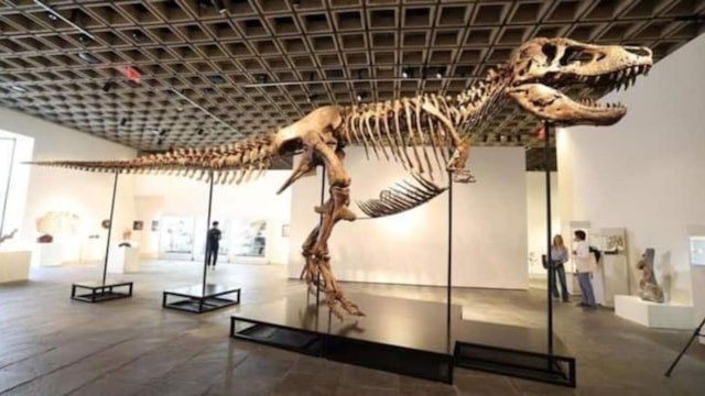 Nadir bulunan T. rex fosili, açık artırmada 50 milyon dolara satıldı