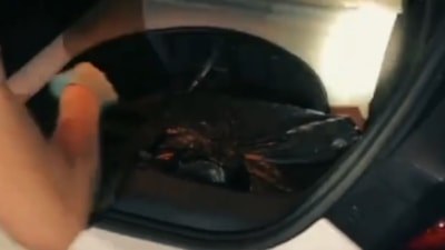 Kayseri'de 5 kilo esrarla yakalanan CHP'li Meclis üyesi tutuklandı