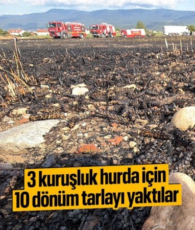 Bolu'da hurda kanepeyi yakıp kaçan kişiler 10 dönümlük buğday tarlasını kül etti