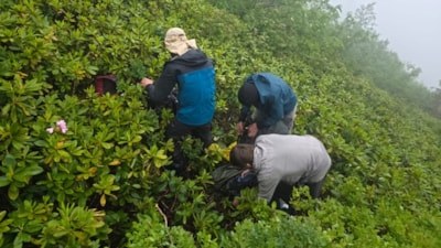 Rize'de yaylada kaybolan 3 Rus turist, 10 saatlik operasyonla kurtarıldı