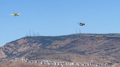 İzmir'de orman yangını