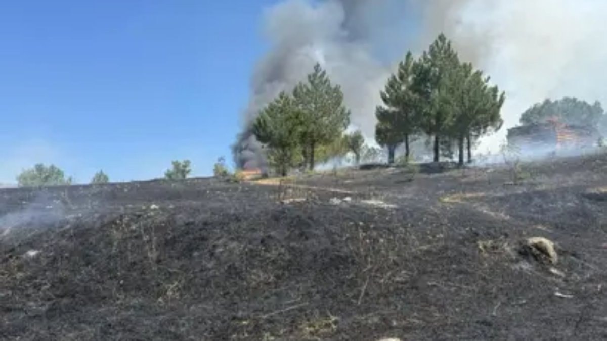 Kastamonu'da çıkan orman yangını söndürüldü