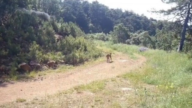 Çankırı'da 