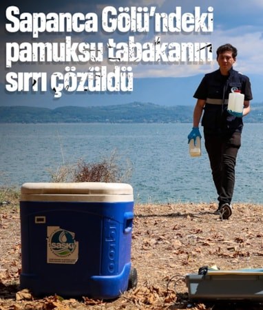 Sapanca Gölü'ndeki pamuksu tabakanın sırrı çözüldü: İçme suyunda risk yok