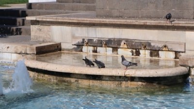 Adana'da termometreler 38 dereceyi gösterdi