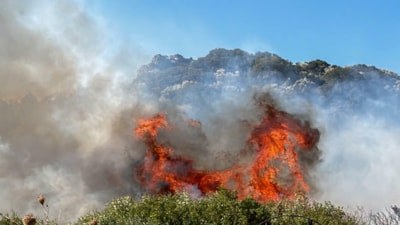 Muğla'da makilik alanda yangın çıktı