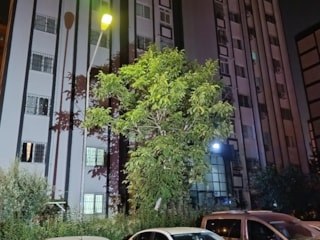 Adana'da boşanmak isteyen karısını uykusunda öldürdü
